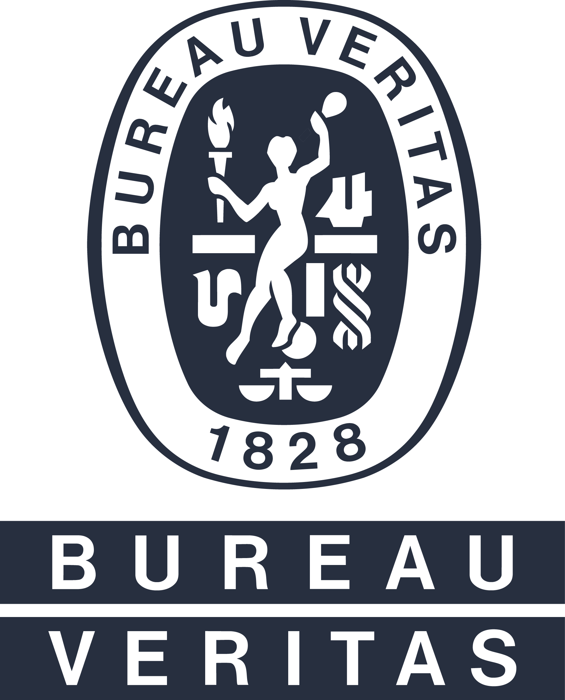 BV Logo SPOT Vector